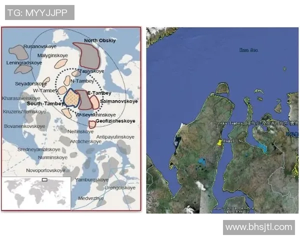 亚马尔地区的资源开发与国际合作新机遇分析