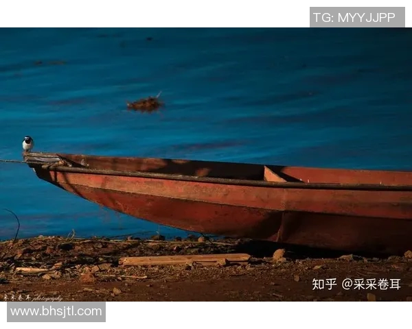 何思雨：在纷繁世界中寻找内心宁静与真实自我的旅程