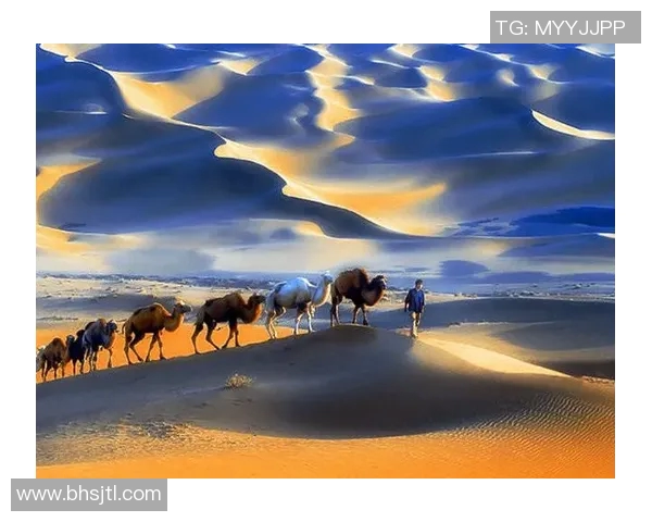 可兰白克的传奇人生与音乐之路探索之旅